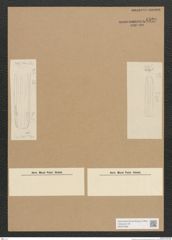 Diatomeae indet. Zeichnungen Sammlung Grunow Nr. 4520 (NHMW-BOT-W0372488)
